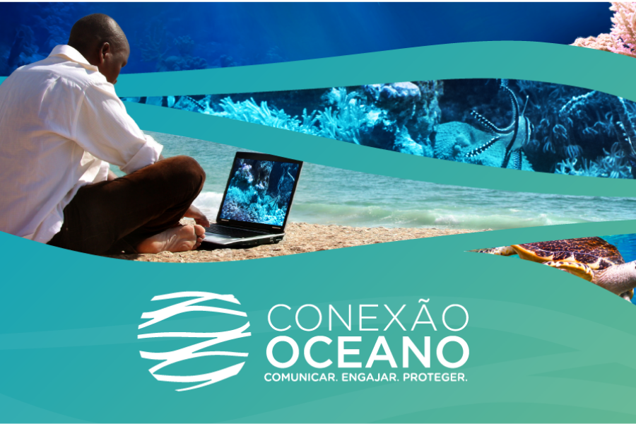 Conexão Oceano oferece bolsas de reportagem e prêmios para fotografias sobre o oceano