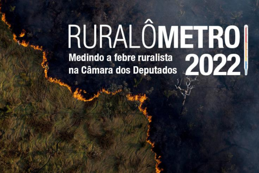 Repórter Brasil oferece bolsa de R$ 6,5 mil para pauta baseada no Ruralômetro 2022
